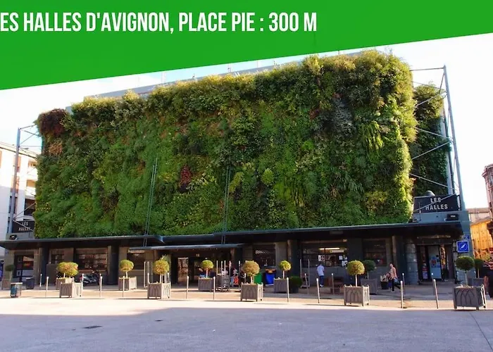 La Bulle - Parking Gratuit En Souterrain - 2 Mins Du Palais Des Papes - Clim Ac - Wifi