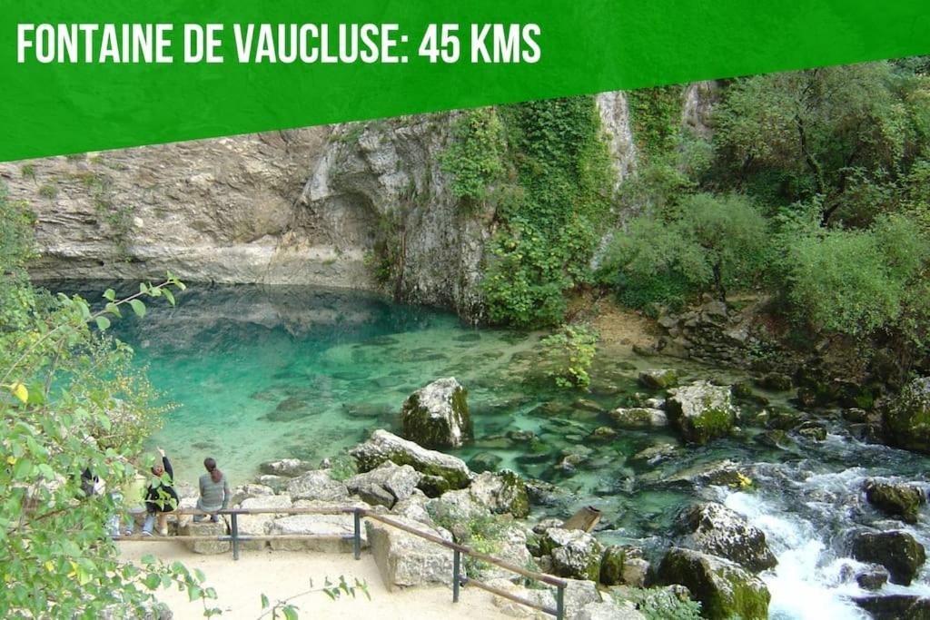 La Bulle - Parking Gratuit En Souterrain - 2 Mins Du Palais Des Papes - Clim Ac - Wifi Apartment