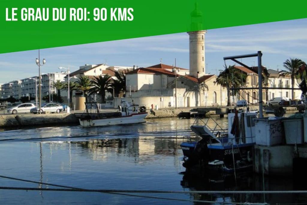 La Bulle - Parking Gratuit En Souterrain - 2 Mins Du Palais Des Papes - Clim Ac - Wifi Avignon